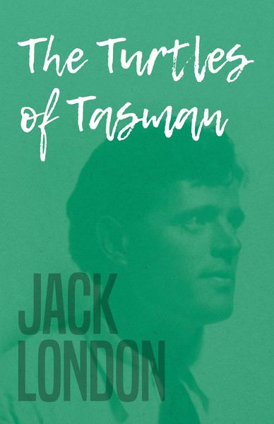 Produktbild: The Turtles of Tasman
