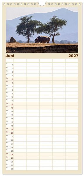Produktbild: Familienplaner 2027 - Hippos - Gef&auml;hrliche Giganten mit 5 Spalten (Wandkalender, 21 x 45 cm) CALVENDO