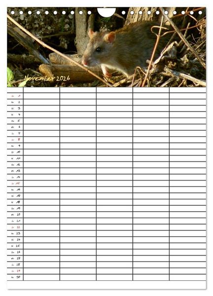 Produktbild: Bauernhoftiere Familienplaner (Wandkalender 2026 DIN A4 hoch), CALVENDO Monatskalender