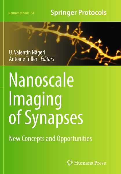 Produktbild: Nanoscale Imaging of Synapses