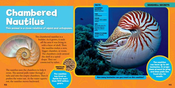 Produktbild: National Geographic Little Kids First Big Book of Rocks, Minerals & Shells