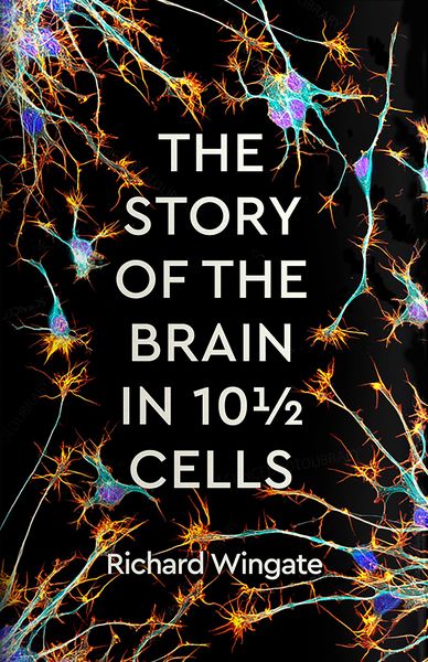 Produktbild: The Story of the Brain in 10&frac12; Cells