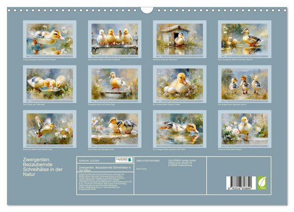 Produktbild: Zwergenten. Bezaubernde Schreih&auml;lse in der Natur (Wandkalender 2027 DIN A3 quer), CALVENDO Monatskalender