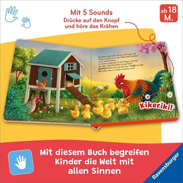 Produktbild: H&ouml;r mal hin - Piep! Piep! Bist du mein Papa?