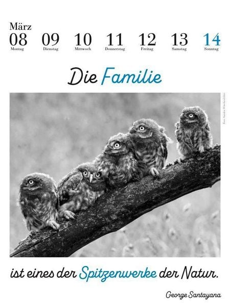 Produktbild: Der literarische Eulenkalender 2027