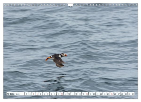 Produktbild: Lofoten Vester&aring;len (Wandkalender 2026 DIN A3 quer), CALVENDO Monatskalender