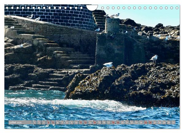 Produktbild: Phare des Pierres Noires (Calendrier mural 2026 DIN A4 vertical), CALVENDO calendrier mensuel