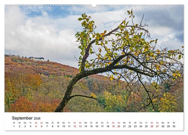 Produktbild: H&ouml;hepunkte des Siebengebirges (Wandkalender 2026 DIN A2 quer), CALVENDO Monatskalender
