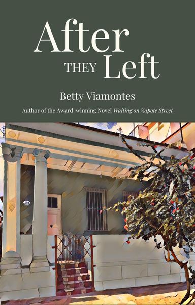 Produktbild: After They Left