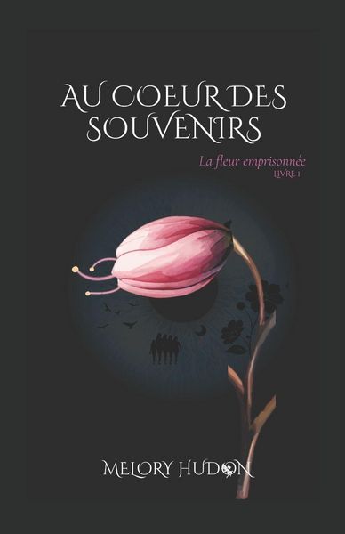 Produktbild: Au c&iquest;ur des souvenirs