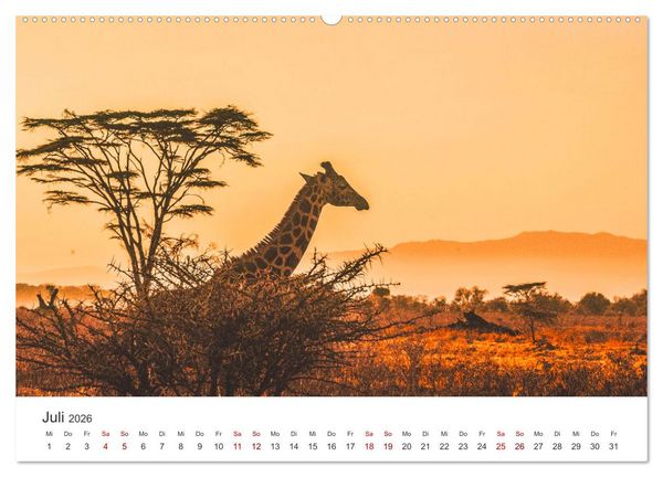 Produktbild: Kenia - Eine Safari durch unber&uuml;hrte Natur. (Wandkalender 2026 DIN A2 quer), CALVENDO Monatskalender