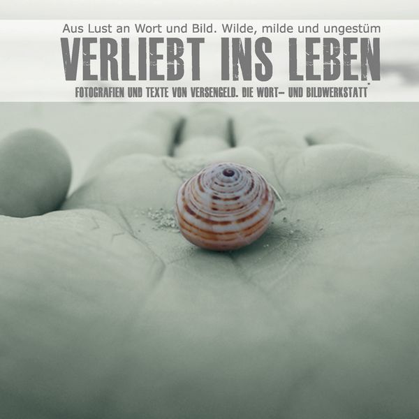 Produktbild: Verliebt ins Leben