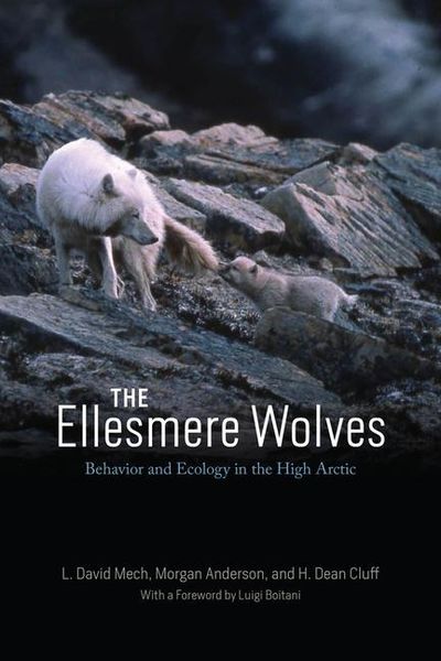 Produktbild: The Ellesmere Wolves