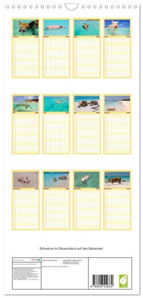 Produktbild: Familienplaner 2026 - Schweine im Dauerurlaub auf den Bahamas! mit 5 Spalten (Wandkalender, 21 x 45 cm) CALVENDO