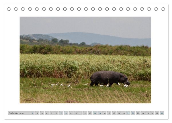 Produktbild: Ruanda (Tischkalender 2026 DIN A5 quer), CALVENDO Monatskalender