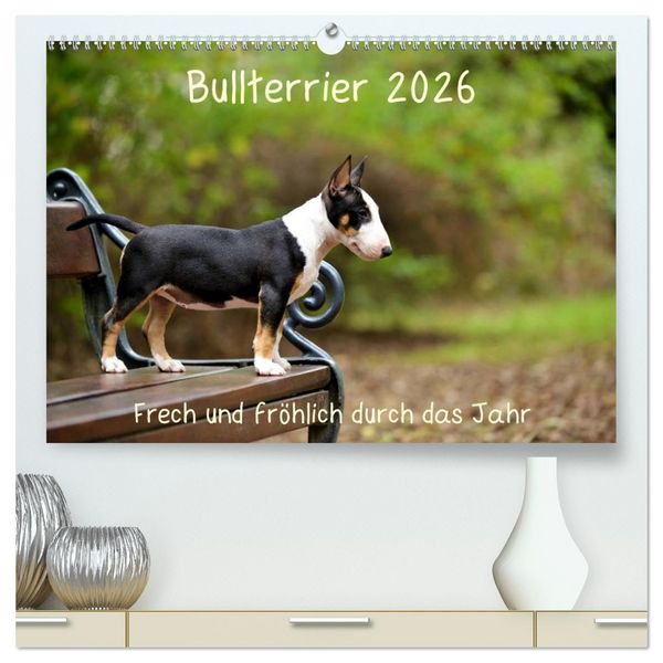 Bullterrier 2026 Frech und fröhlich durch das Jahr (hochwertiger Premium Wandkalender 2026 DIN A2 quer), Kunstdruck in Hochglanz