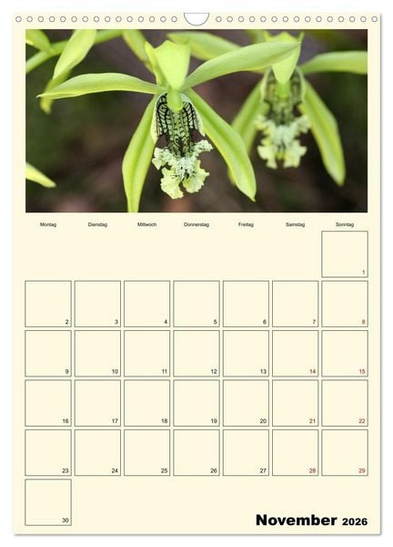 Produktbild: Orchideentr&auml;ume (Wandkalender 2026 DIN A3 hoch), CALVENDO Monatskalender