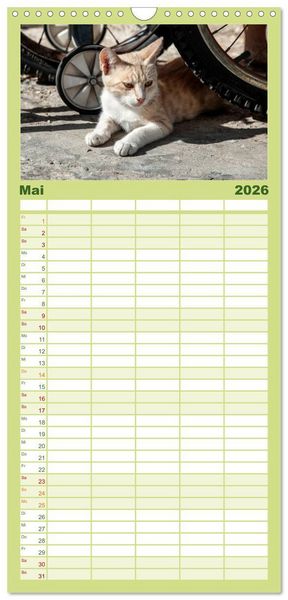 Produktbild: Familienplaner 2026 - Griechische Katzen mit 5 Spalten (Wandkalender, 21 x 45 cm) CALVENDO