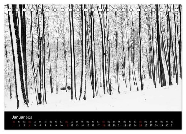 Produktbild: Gesehen auf - R&uuml;gen und Hiddensee (Tischkalender 2026 DIN A5 quer), CALVENDO Monatskalender