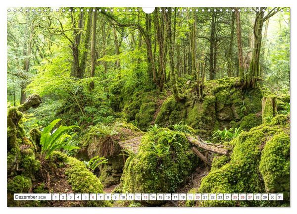 Produktbild: Faszination Naturwunder (Wandkalender 2026 DIN A3 quer), CALVENDO Monatskalender