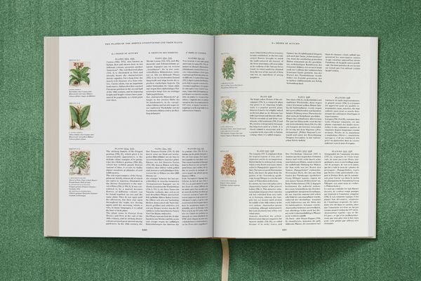 Produktbild: Basilius Besler. The Garden at Eichst&auml;tt