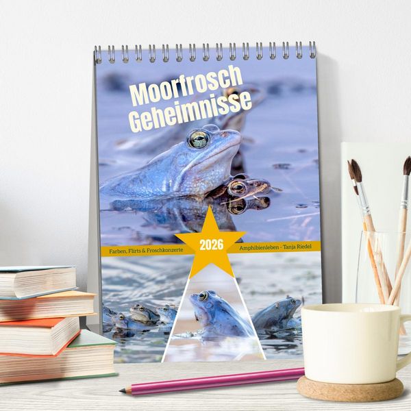 Produktbild: Moorfrosch Geheimnisse &ndash; Farben, Flirts & Froschkonzerte - Tanja Riedel (Tischkalender 2026 DIN A5 hoch), CALVENDO Monatskalender