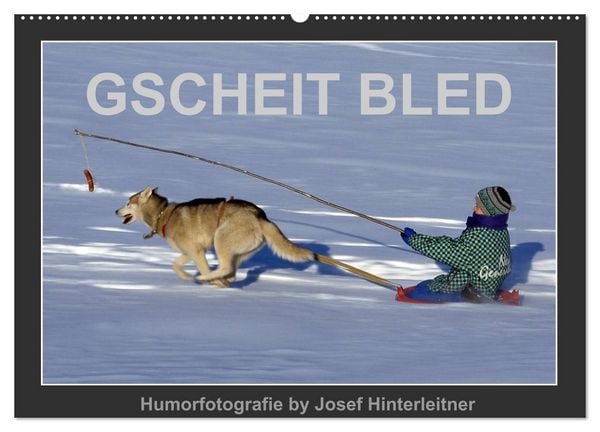 Produktbild: GSCHEIT BLED - Humorfotografie (Wandkalender 2026 DIN A2 quer), CALVENDO Monatskalender