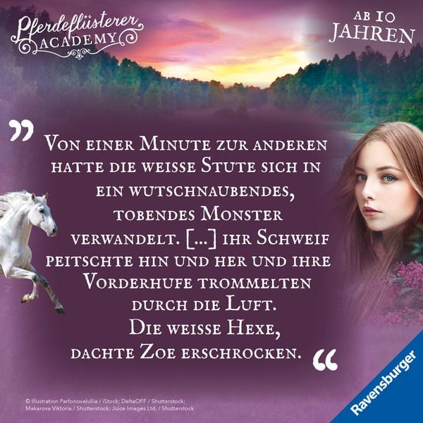 Produktbild: Pferdefl&uuml;sterer-Academy, Band 3: Eine gef&auml;hrliche Sch&ouml;nheit