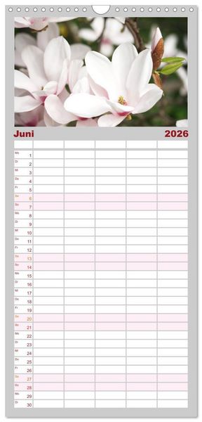 Produktbild: Familienplaner 2026 - Magnolien Ein Bl&uuml;tenrausch mit 5 Spalten (Wandkalender, 21 x 45 cm) CALVENDO