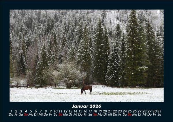 Produktbild: Die Welt der Pferde 2026 Fotokalender DIN A5