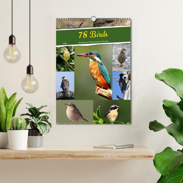Produktbild: 78 Birds (Wall Calendar 2026 DIN A3 portrait), CALVENDO 12 Month Wall Calendar