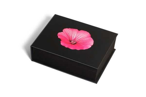 Produktbild: The Blooming Book