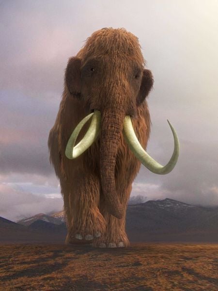 Ice Age - Giganten der Eiszeit