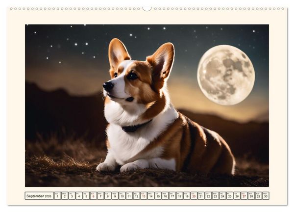 Produktbild: Welsh Corgi Pembroke (High Quality Premium Wall Calendar 2026 DIN A2 landscape),CALVENDO 12 Month Wall Calendar