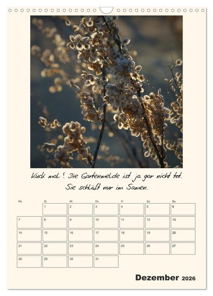 Produktbild: Gartengeschichten (Wandkalender 2026 DIN A3 hoch), CALVENDO Monatskalender