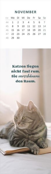 Produktbild: Lesezeichenkalender Katzengl&uuml;ck 2027