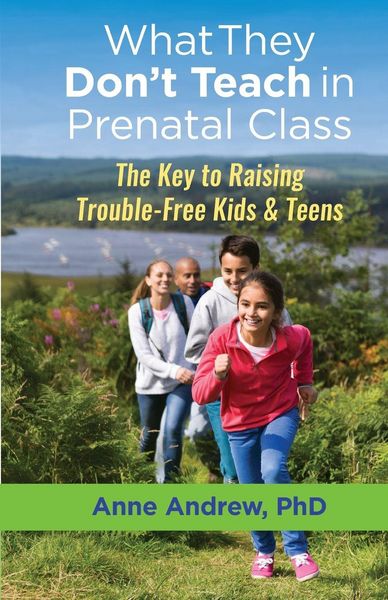 Produktbild: What They Don't Teach in Prenatal Class