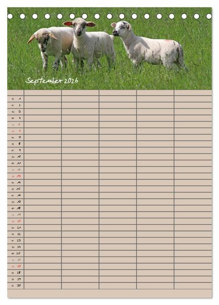 Produktbild: Der bel&auml;mmerte Familienplaner (Tischkalender 2026 DIN A5 hoch), CALVENDO Monatskalender