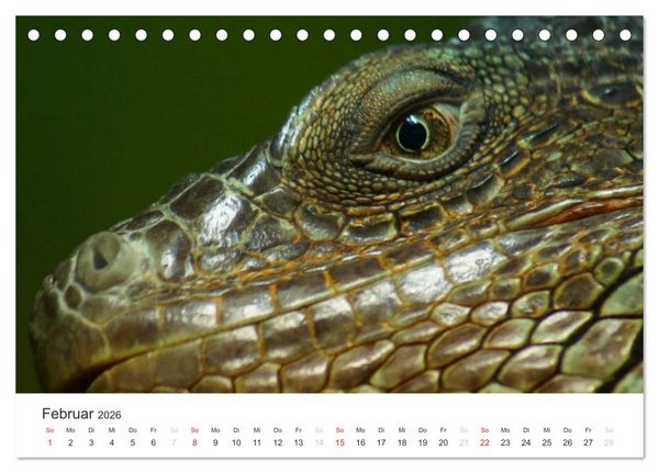 Produktbild: Das Leben der Reptilien (Tischkalender 2026 DIN A5 quer), CALVENDO Monatskalender