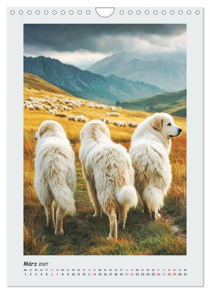 Produktbild: Pyren&auml;enberghunde. Stolze und wachsame Besch&uuml;tzer (Wandkalender 2027 DIN A4 hoch), CALVENDO Monatskalender