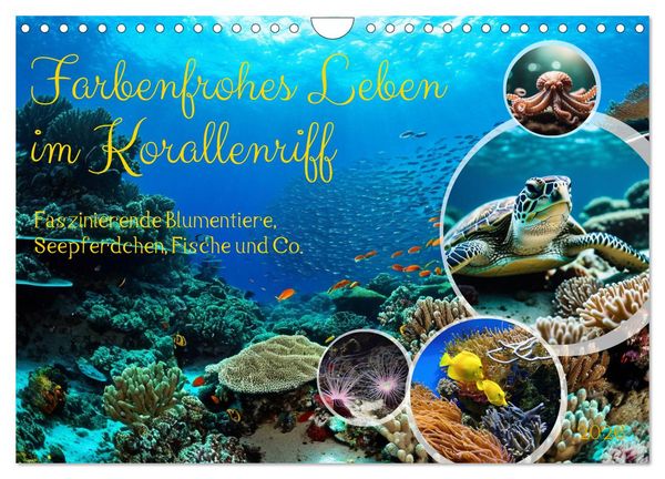 Produktbild: Farbenfrohes Leben im Korallenriff (Wandkalender 2026 DIN A4 quer), CALVENDO Monatskalender