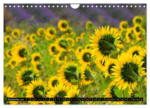 Produktbild: Provence (Wandkalender 2026 DIN A4 quer), CALVENDO Monatskalender