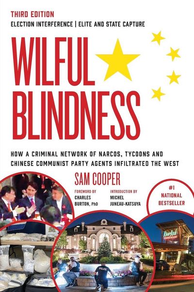 Produktbild: Wilful Blindness Election Interference | Elite and State Capture
