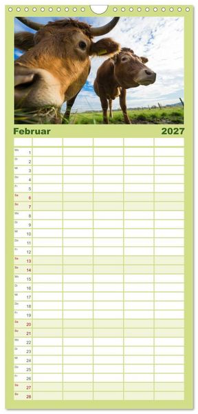 Produktbild: Familienplaner 2027 - Kuhckst du? mit 5 Spalten (Wandkalender, 21 x 45 cm) CALVENDO
