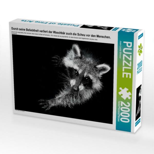 CALVENDO Puzzle Durch seine Beliebtheit verliert der Waschbär auch die Scheu vor den Menschen. | 2000 Teile Lege-Größe 90x67cm Foto-Puzzle für glückliche Stunden