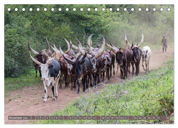 Produktbild: Geheimtipp Uganda (Tischkalender 2026 DIN A5 quer), CALVENDO Monatskalender