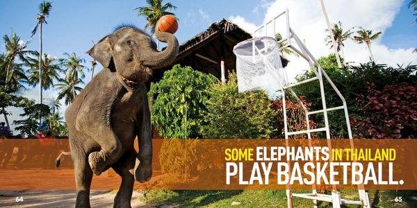 Produktbild: Weird But True! Sports