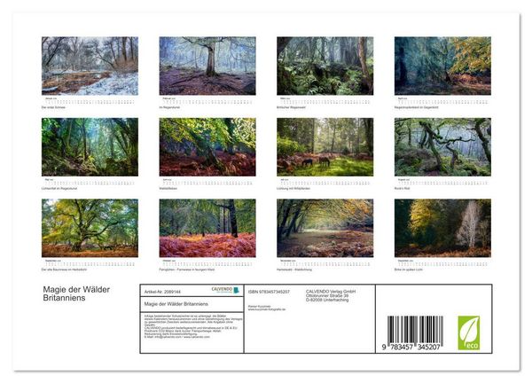 Produktbild: Magie der W&auml;lder Britanniens (Wandkalender 2026 DIN A4 quer), CALVENDO Monatskalender