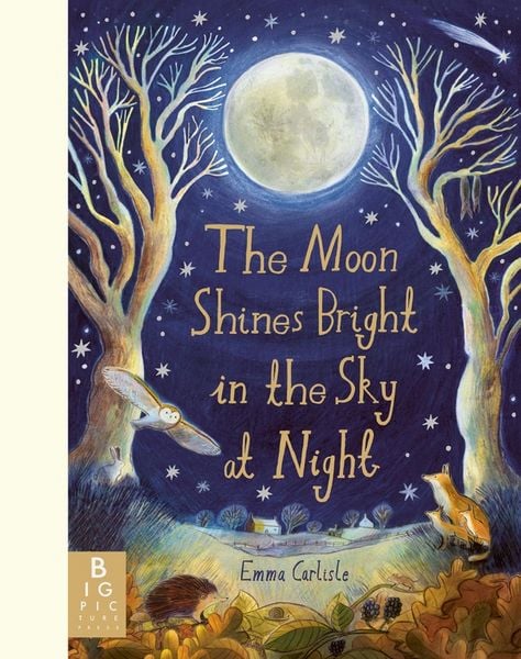 Produktbild: Moon Shines Bright in the Sky at Night
