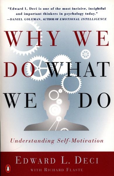 Produktbild: Why We Do What We Do